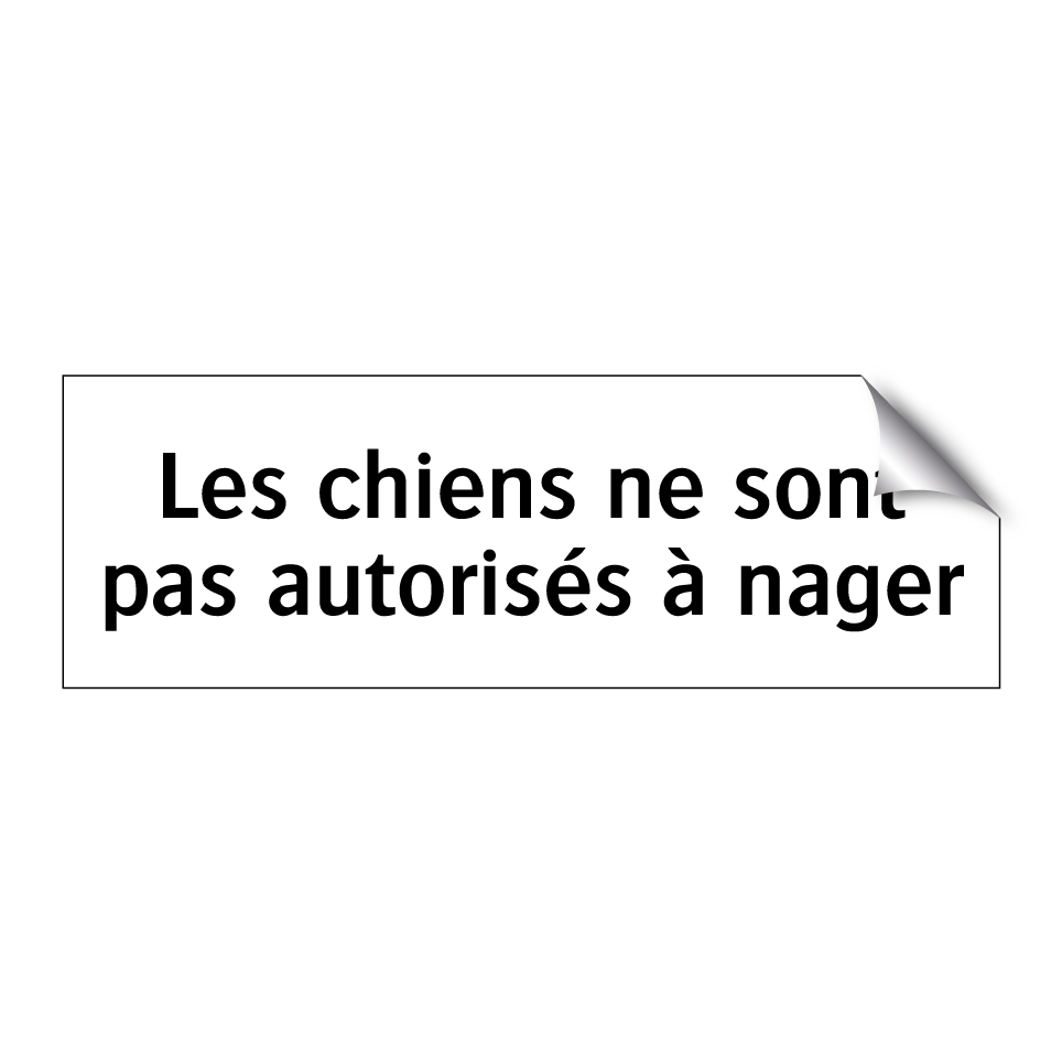 Les chiens ne sont pas autorisés à nager