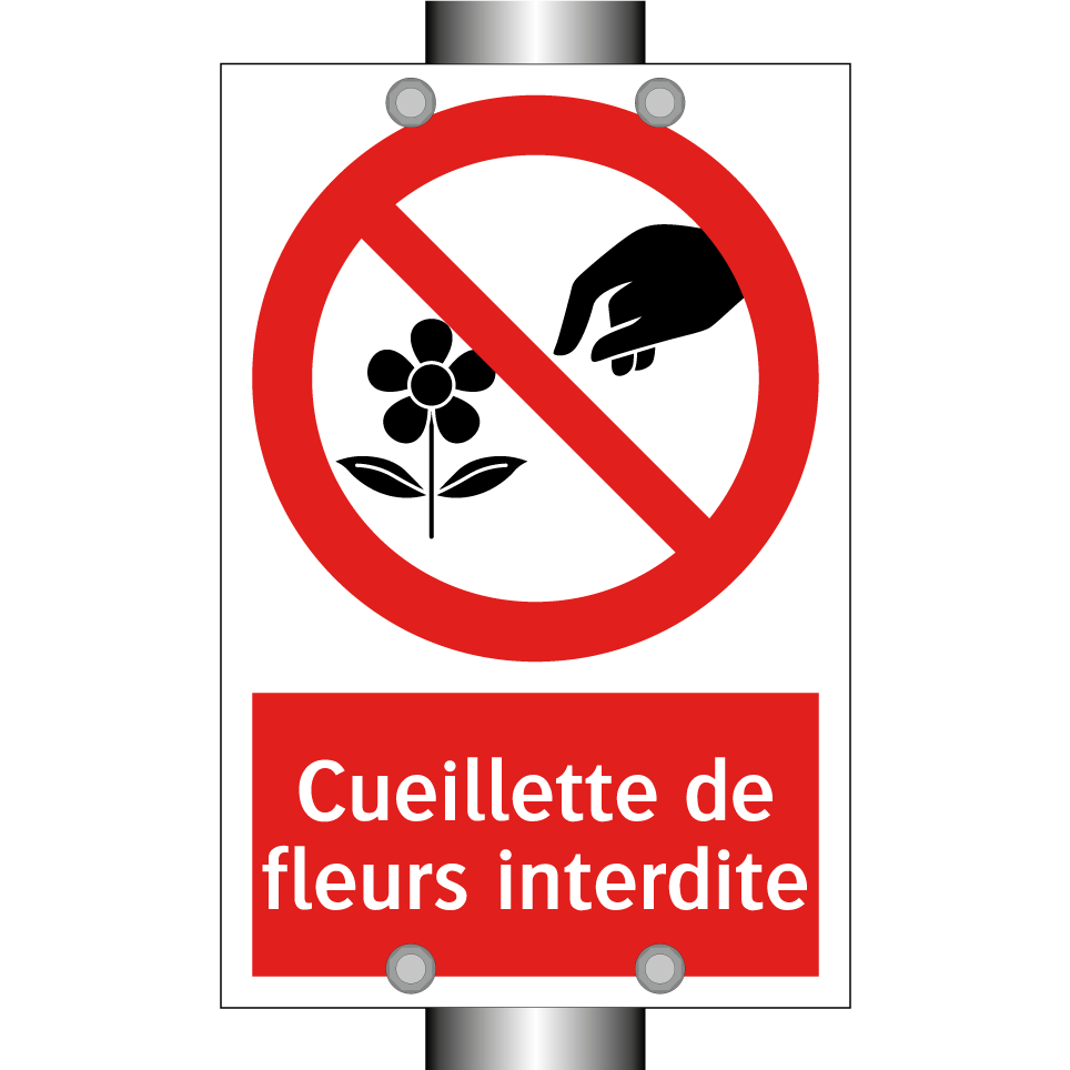 Cueillette de fleurs interdite