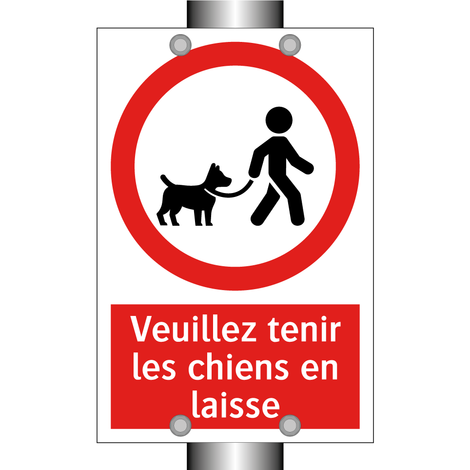 Veuillez tenir les chiens en laisse