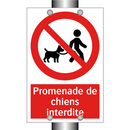 Promenade de chiens interdite