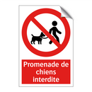 Promenade de chiens interdite