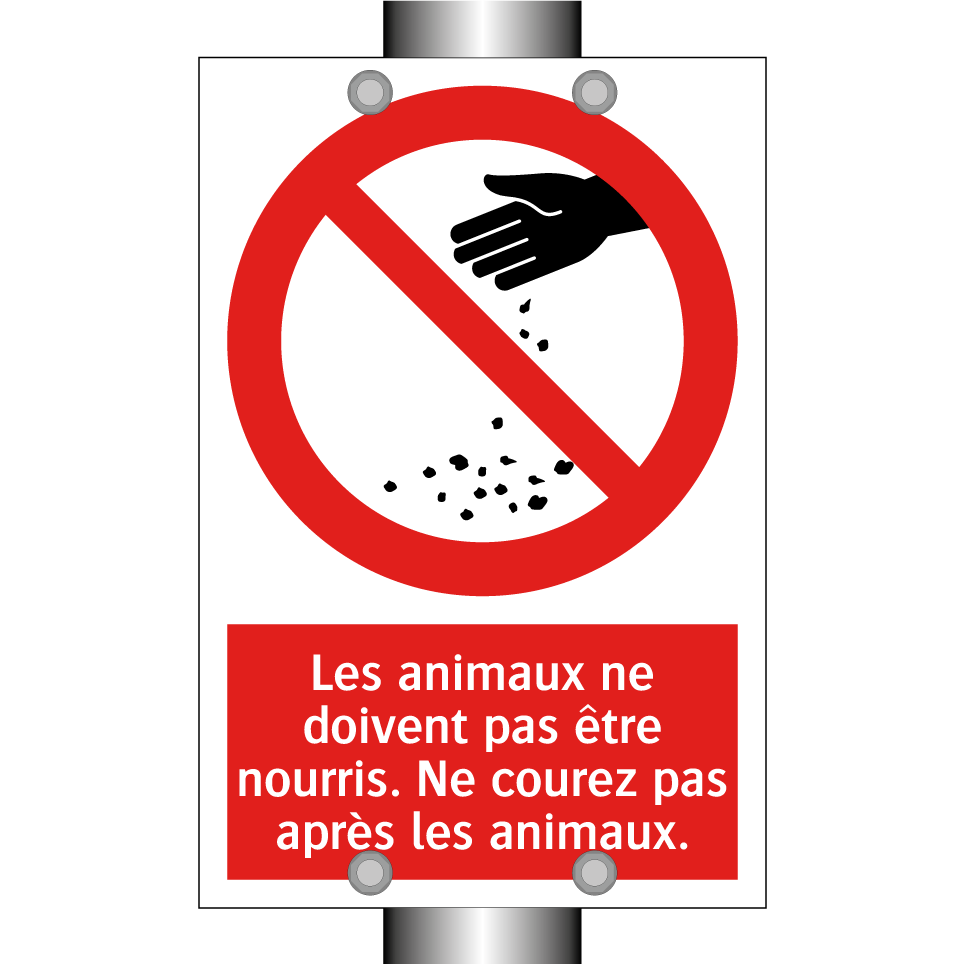 Les animaux ne doivent pas être nourris. Ne courez pas après les animaux.