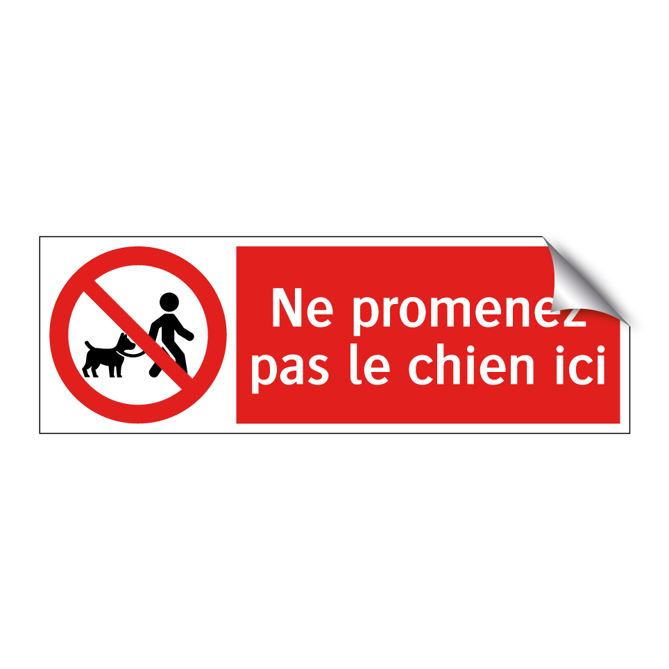 Ne promenez pas le chien ici