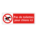 Pas de toilettes pour chiens ici