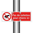 Pas de toilettes pour chiens ici
