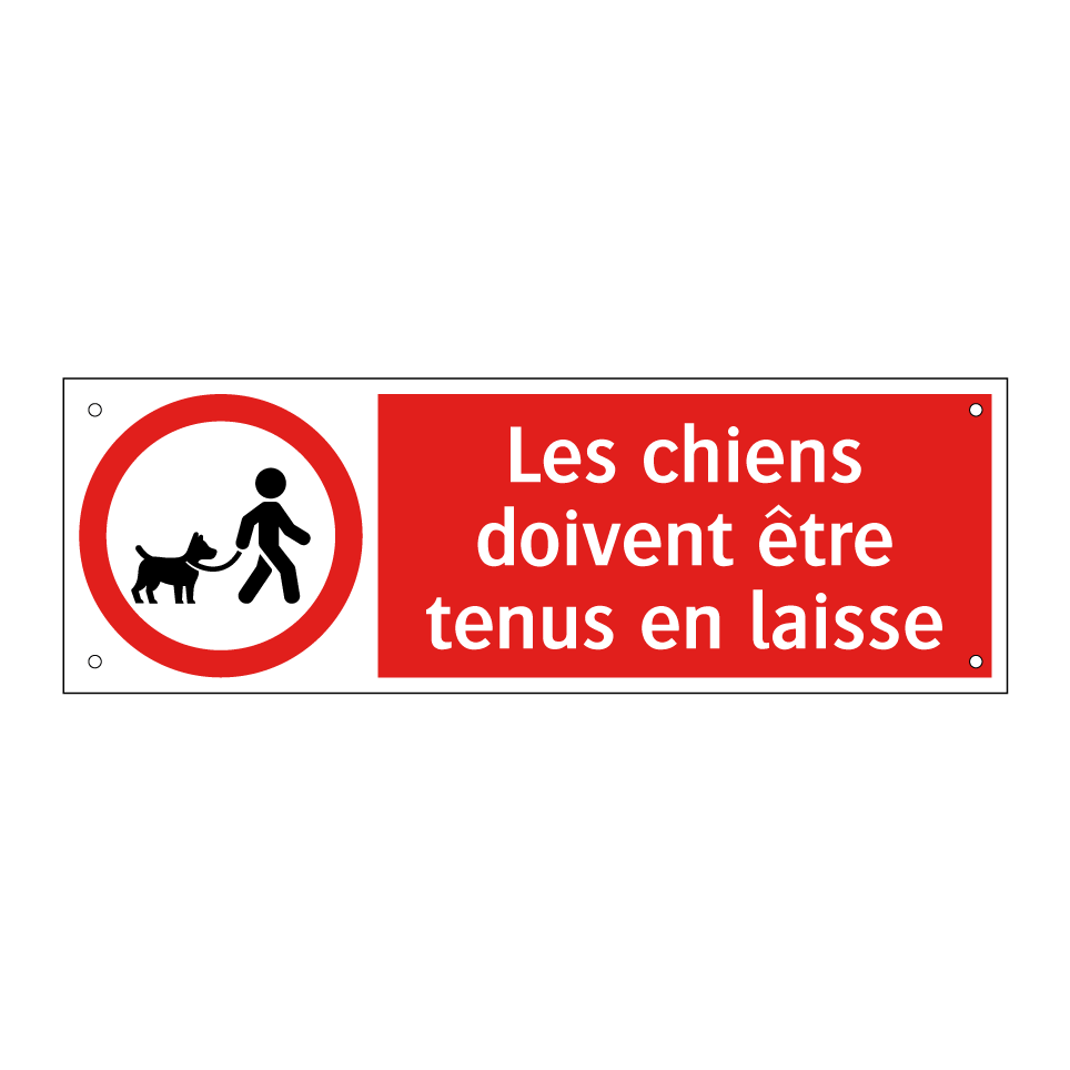 Les chiens doivent être tenus en laisse