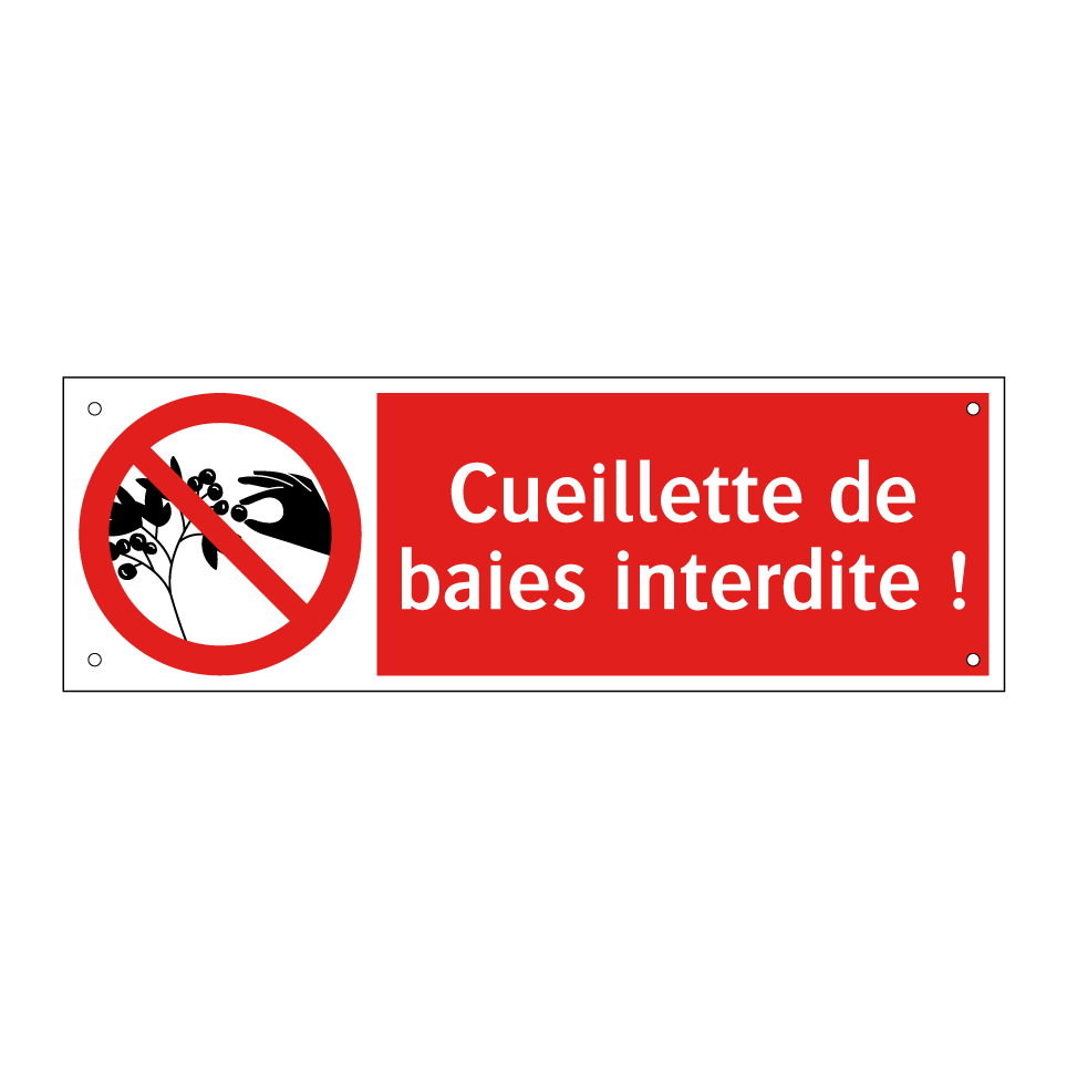 Cueillette de baies interdite !