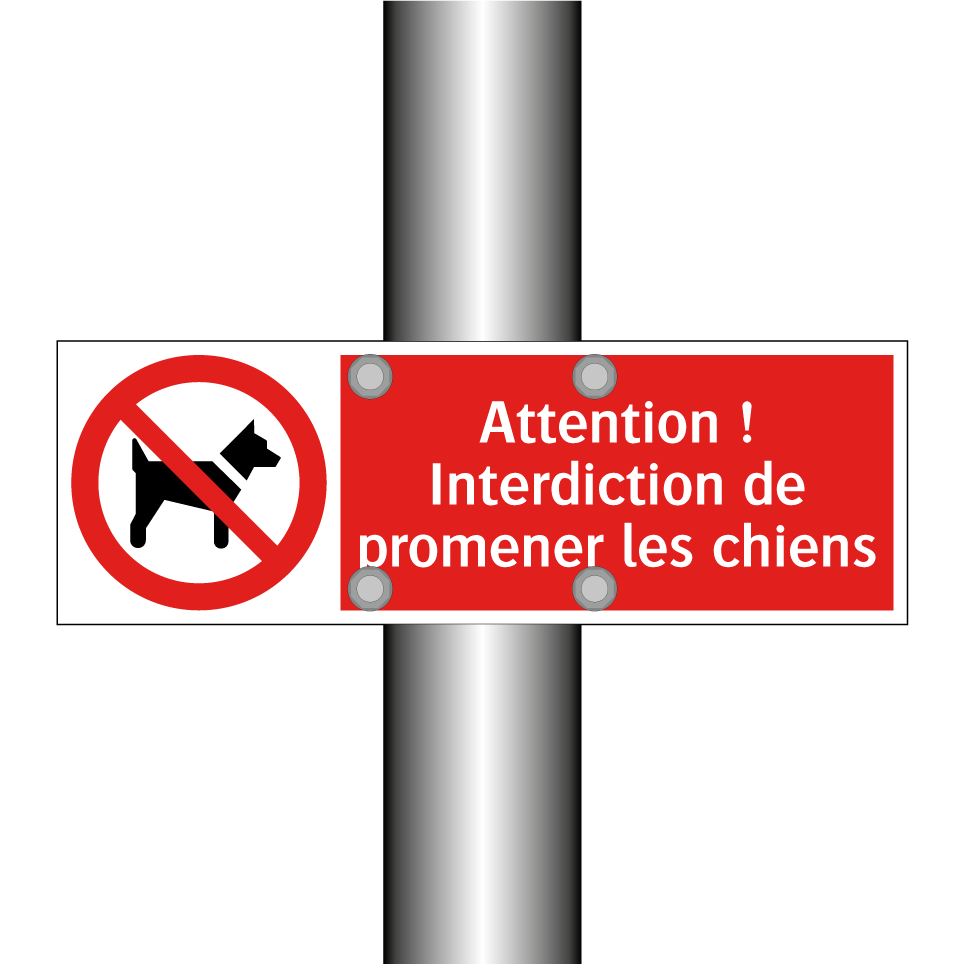 Attention ! Interdiction de promener les chiens