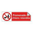 Promenade de chiens interdite