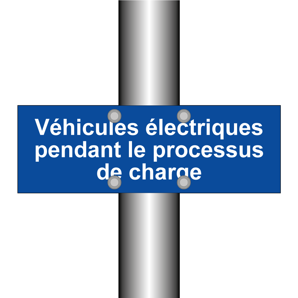 Véhicules électriques pendant le processus de charge