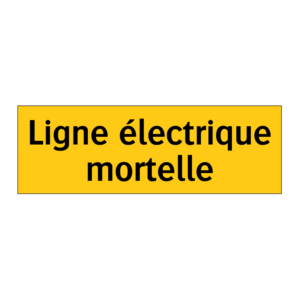 Ligne électrique mortelle