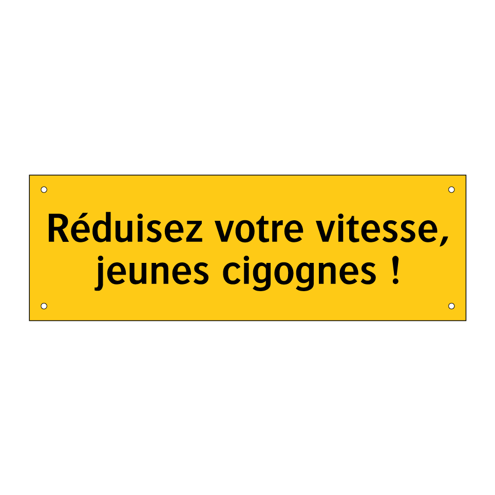 Réduisez votre vitesse, jeunes cigognes !