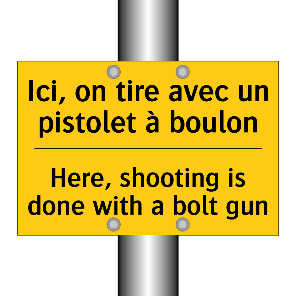 Ici, on tire avec un pistolet /.../ - Here, shooting is done with a /.../