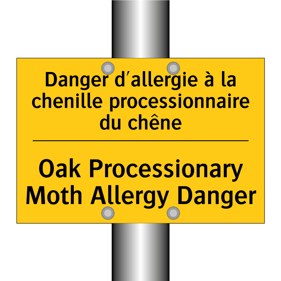 Danger d'allergie à la chenille /.../ - Oak Processionary Moth Allergy /.../