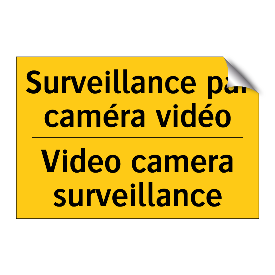 Surveillance par caméra vidéo - Video camera surveillance