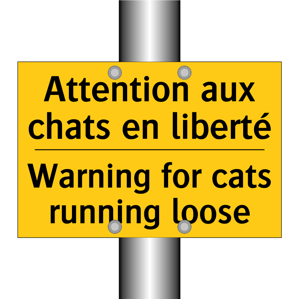 Attention aux chats en liberté - Warning for cats running loose