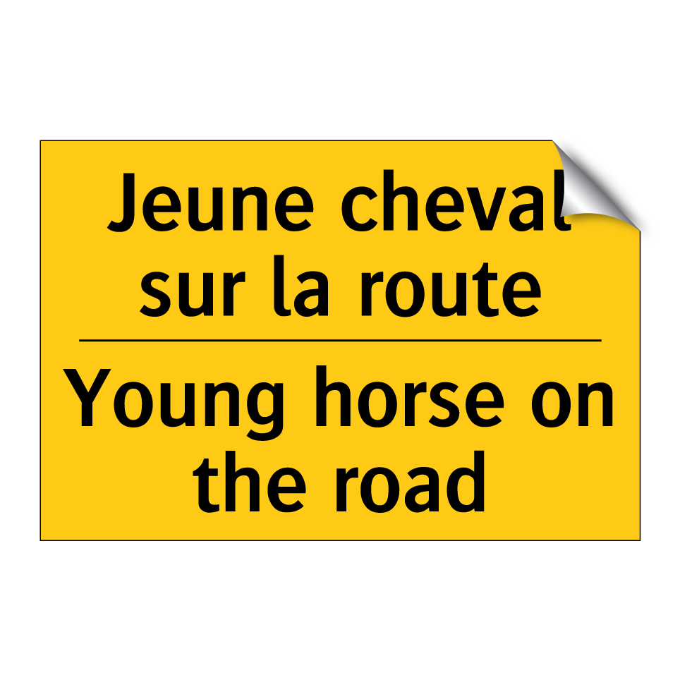 Jeune cheval sur la route - Young horse on the road