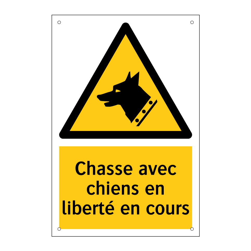 Chasse avec chiens en liberté en cours