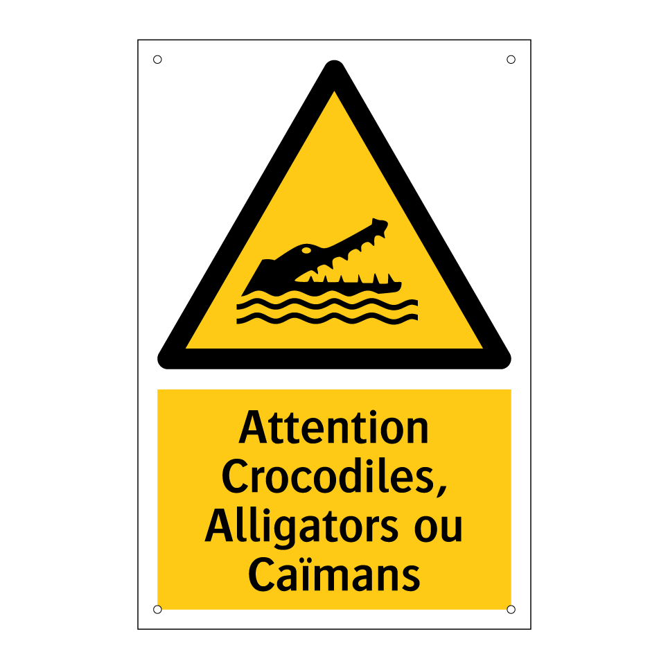 Attention Crocodiles, Alligators ou Caïmans
