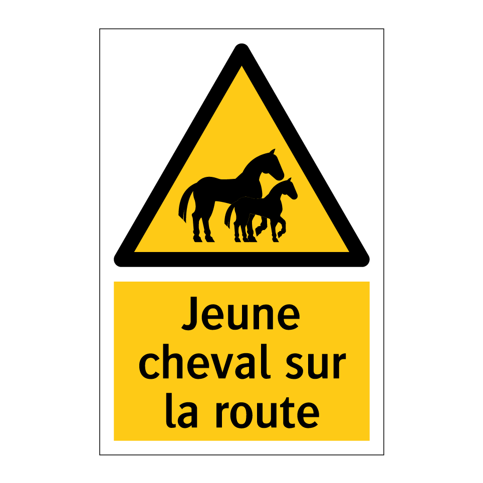 Jeune cheval sur la route