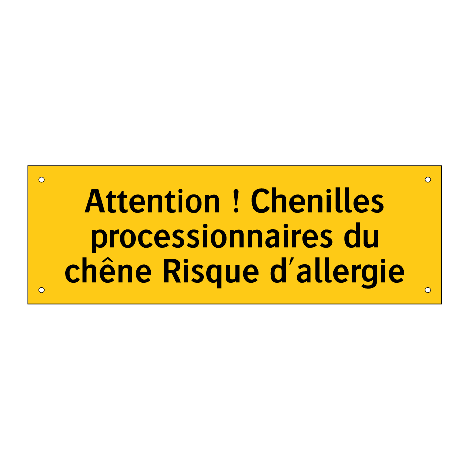 Attention ! Chenilles processionnaires du chêne Risque d'allergie