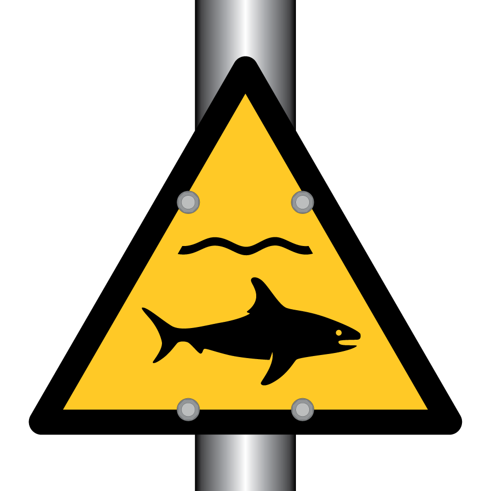 W054 Requins