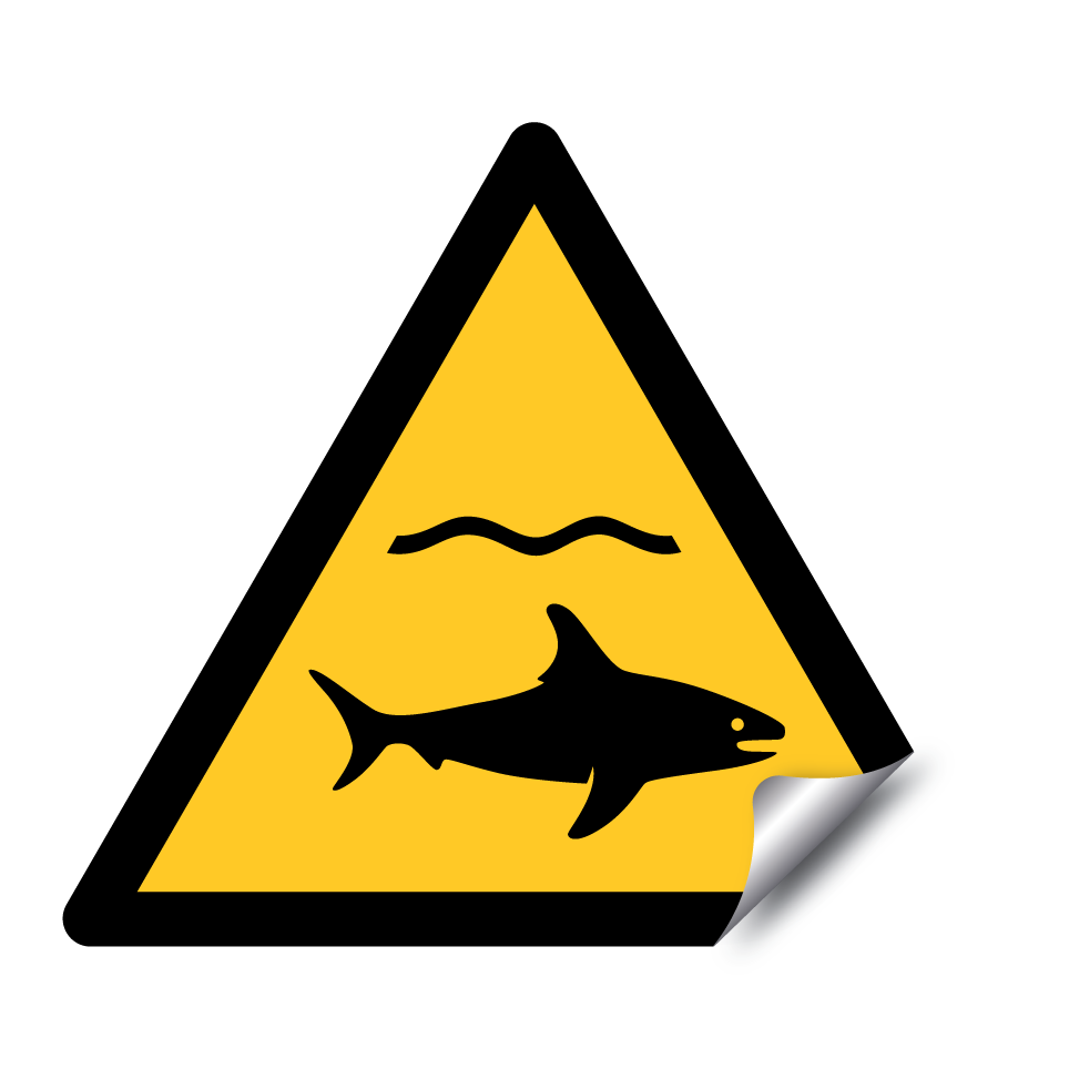 W054 Requins