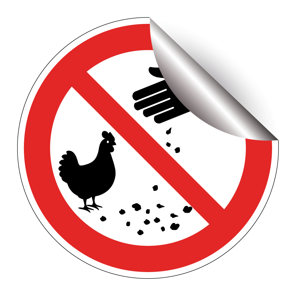 Ne pas nourrir les poules