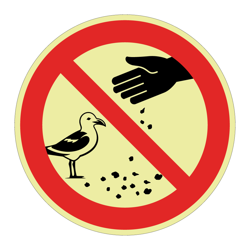 Ne pas nourrir les mouettes