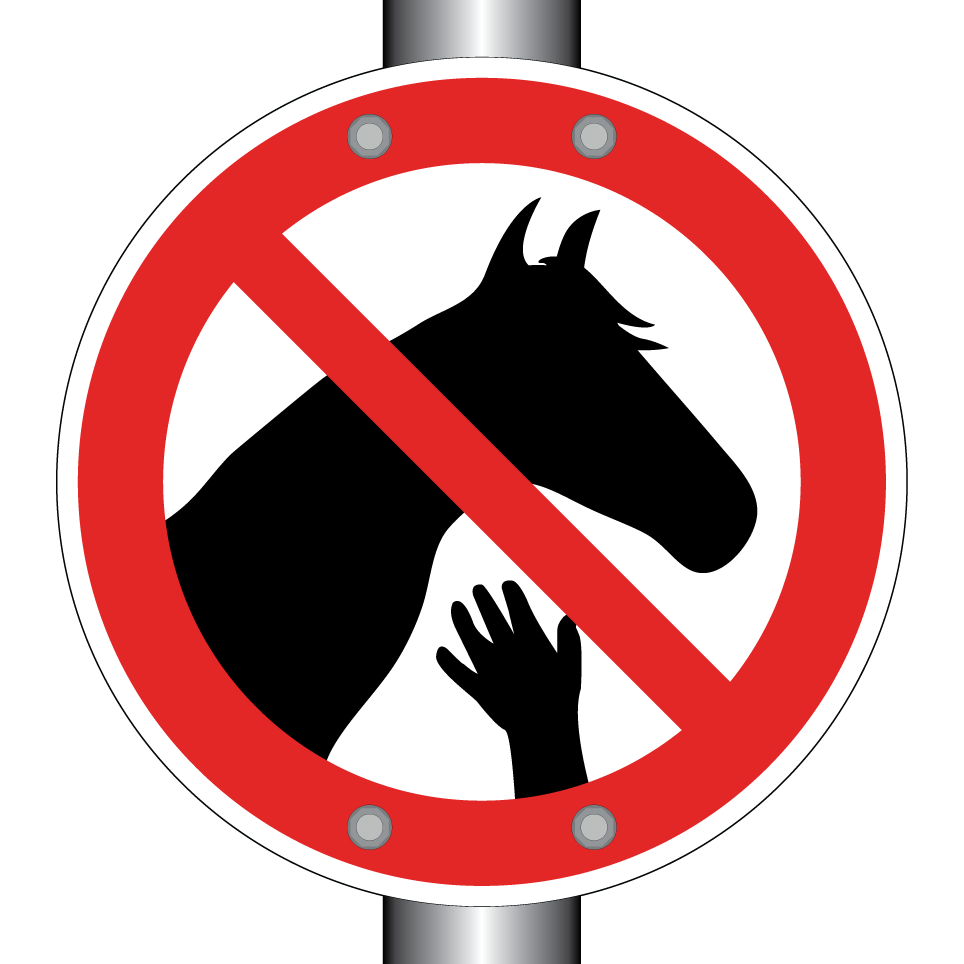 Ne pas toucher les chevaux
