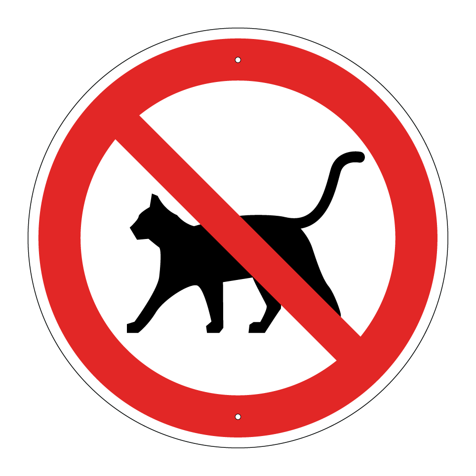 Pas de chats