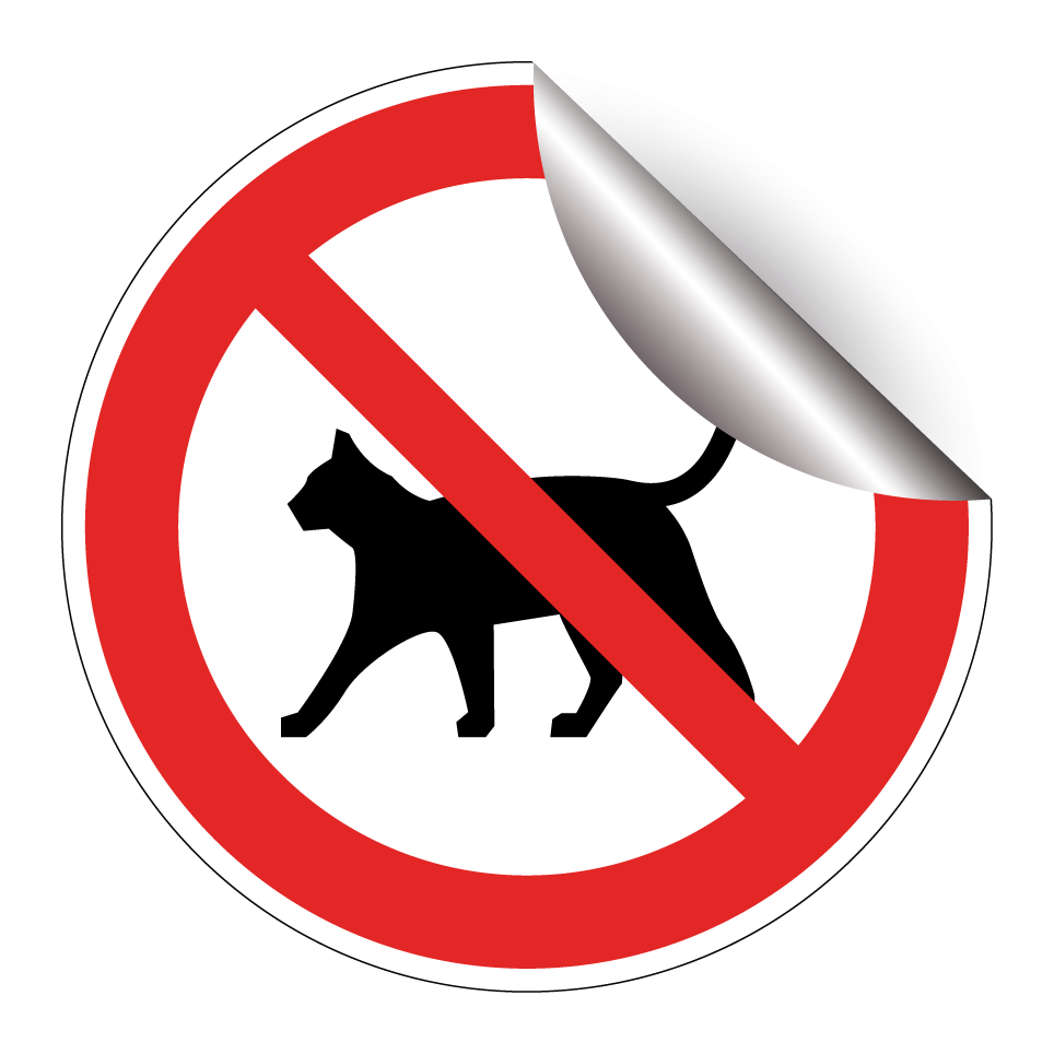 Pas de chats