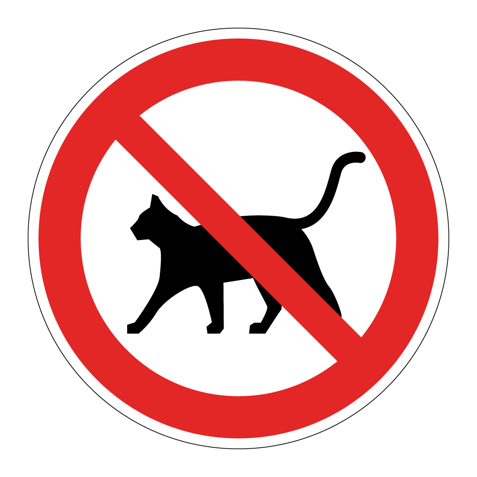 Pas de chats