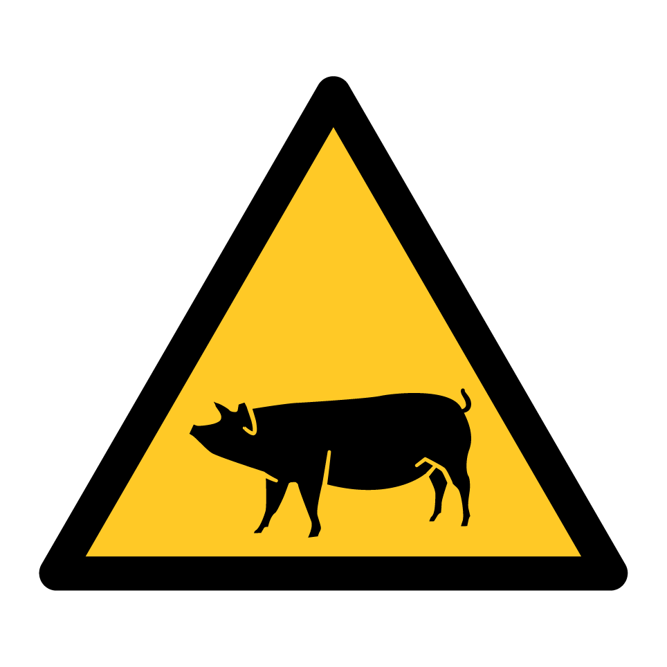Cochon d'avertissement