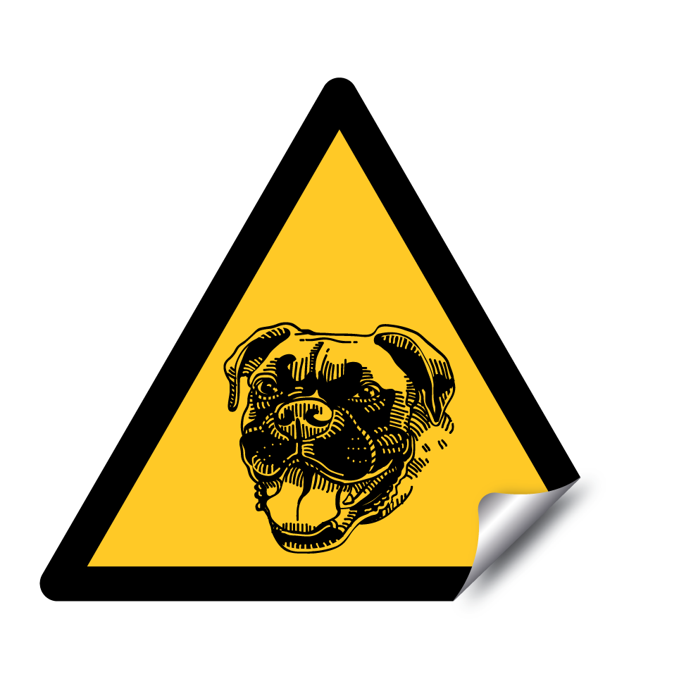 Chien boxeur de garde