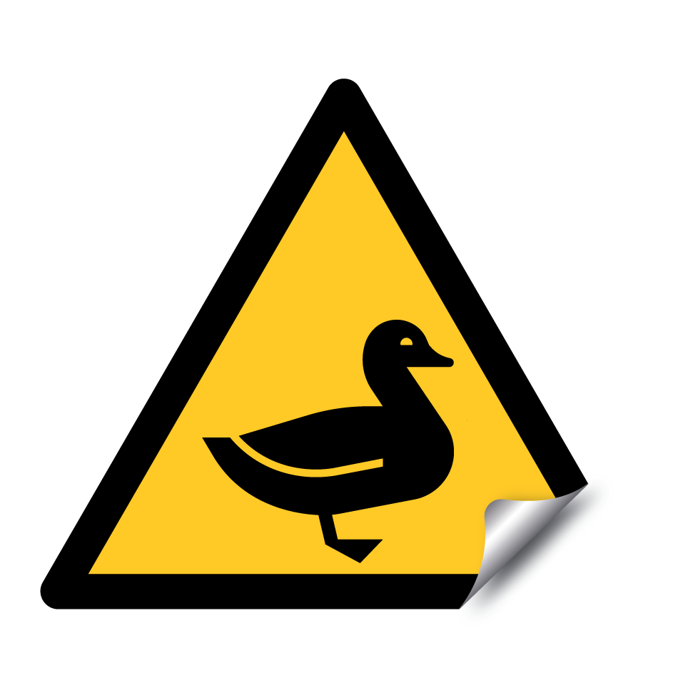 Canard d’avertissement