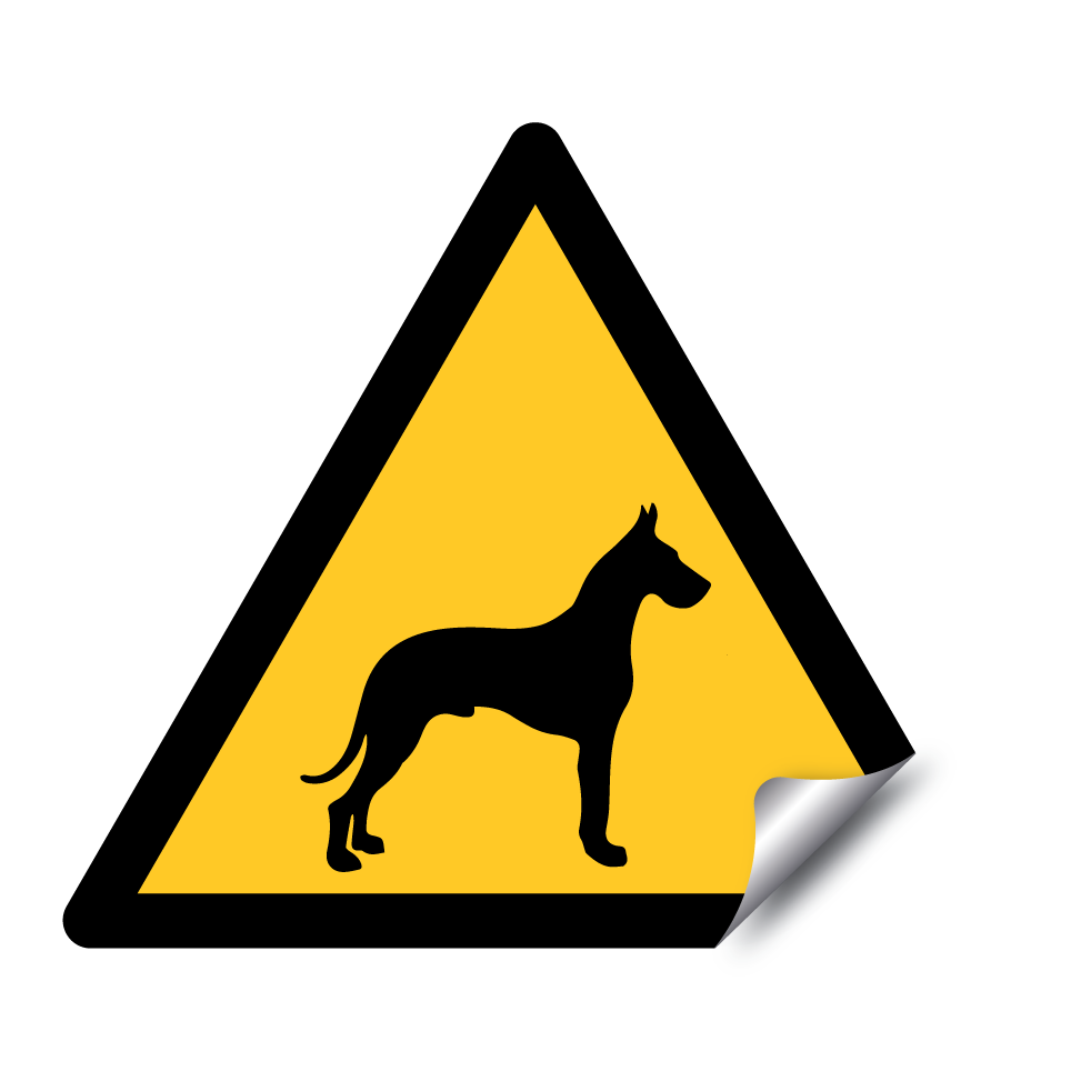 Attention grand danois
