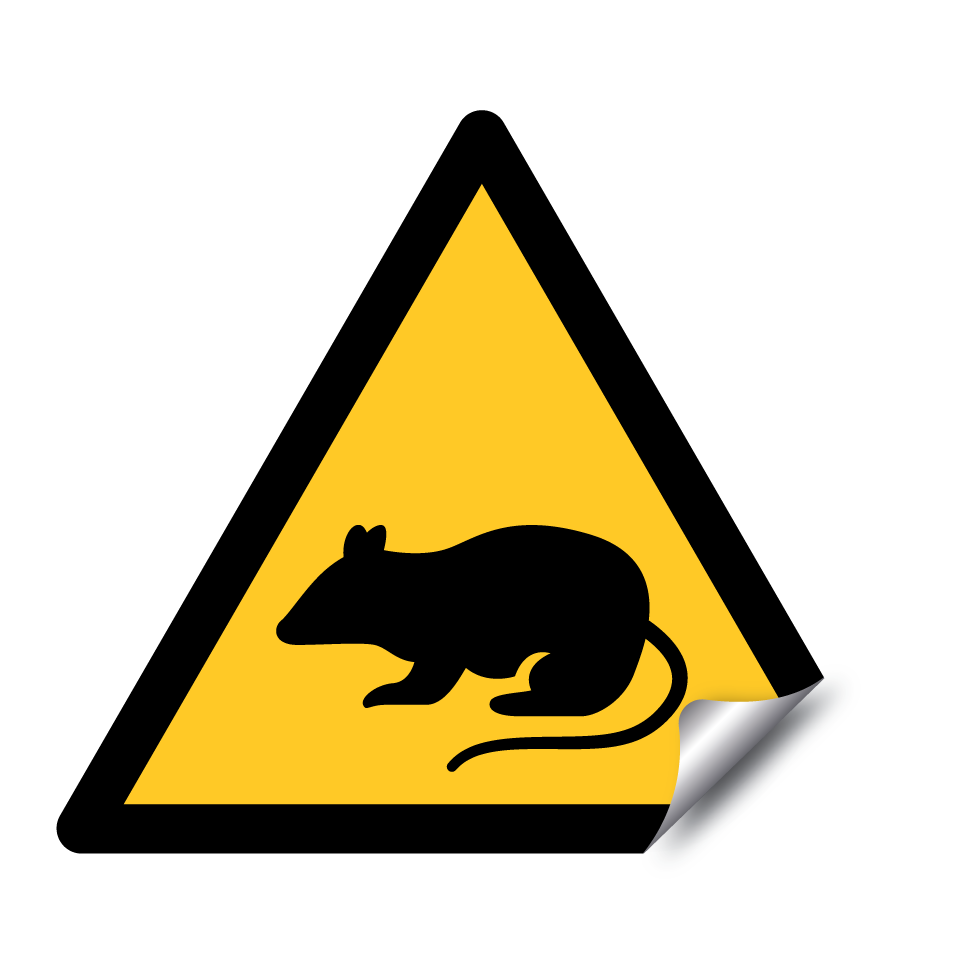 Rat d'avertissement