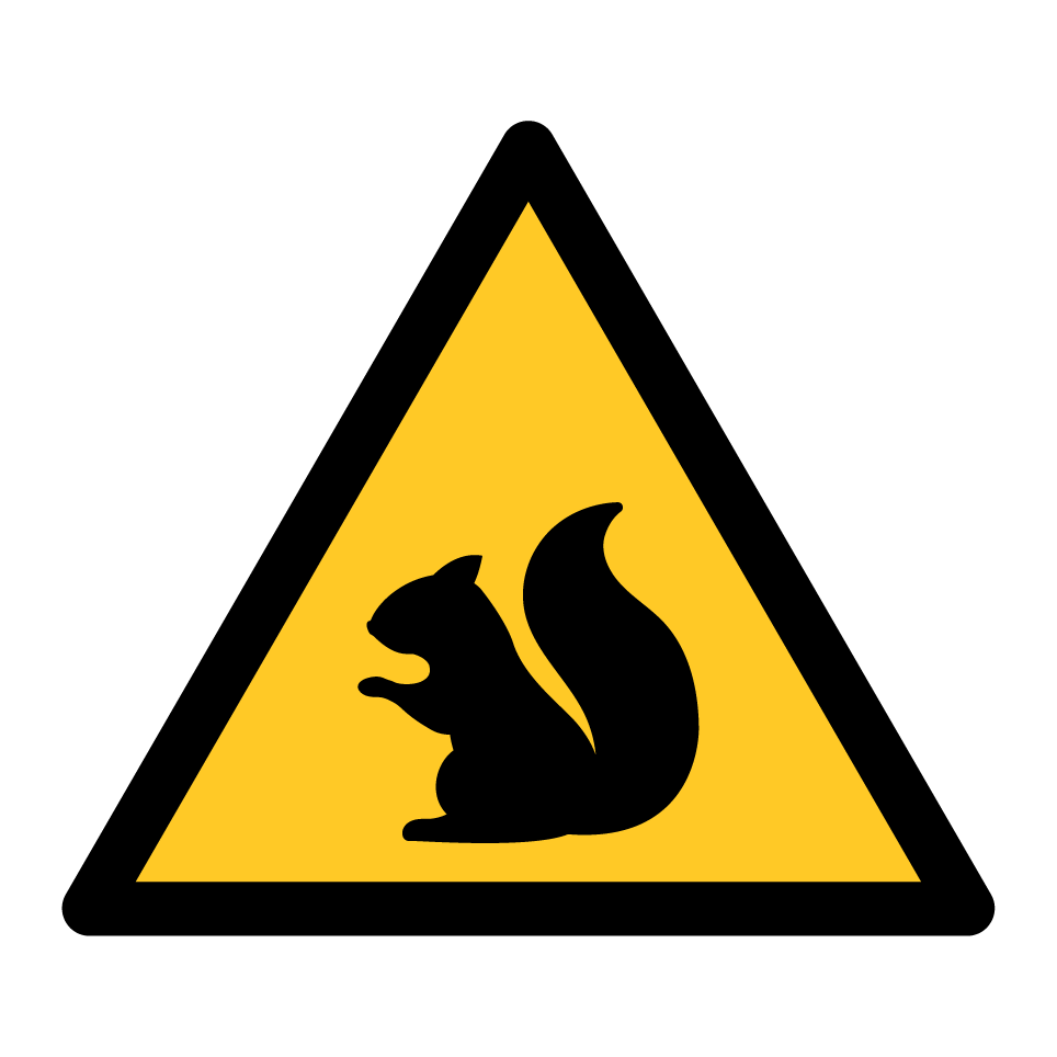 Écureuil d’avertissement