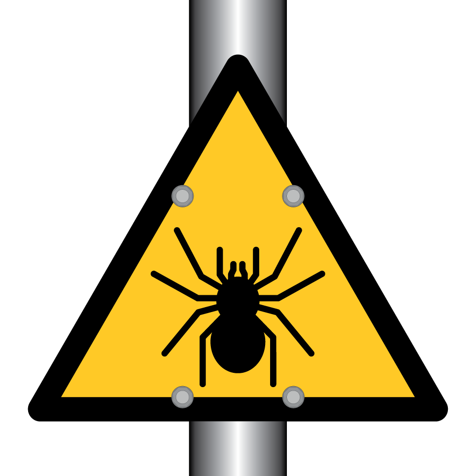 Araignée d'avertissement
