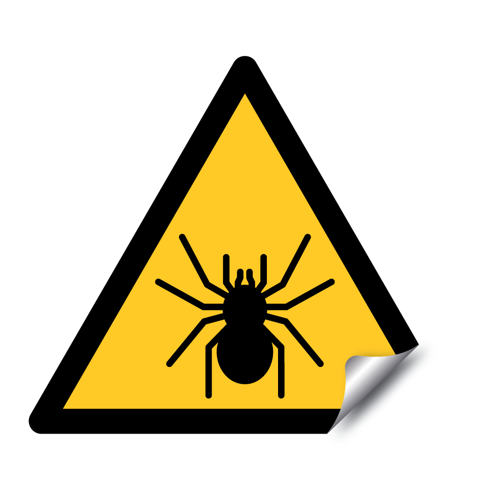Araignée d'avertissement