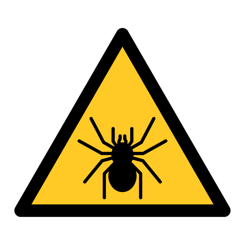 Araignée d'avertissement