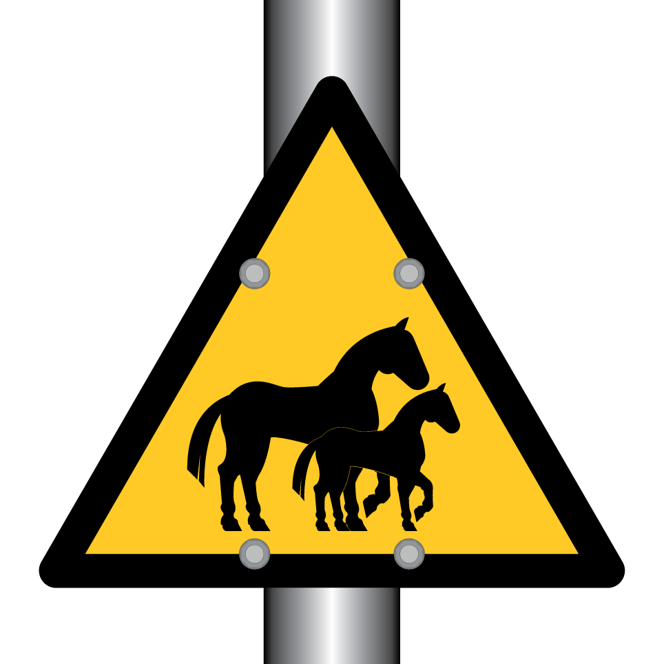Chevaux avec poulain