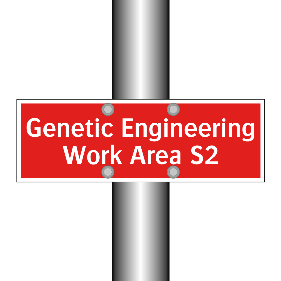 Genetic Engineering Work Area S2