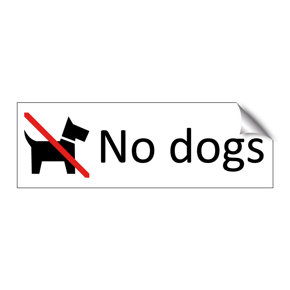 No dogs