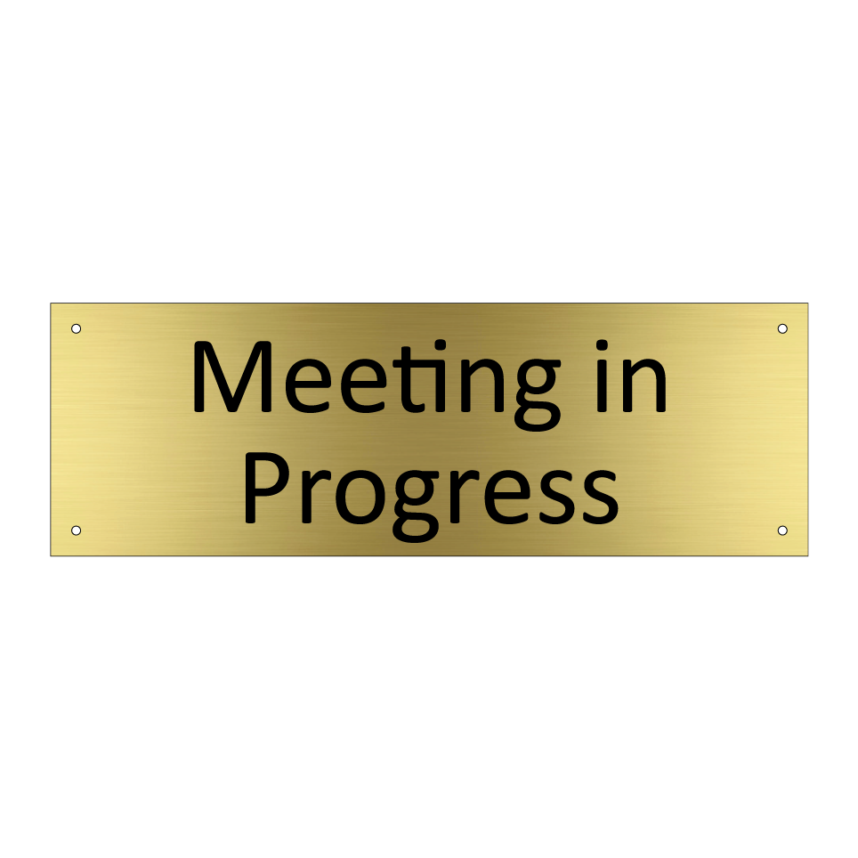 Meeting in Progress