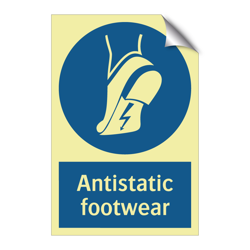 Antistatic footwear