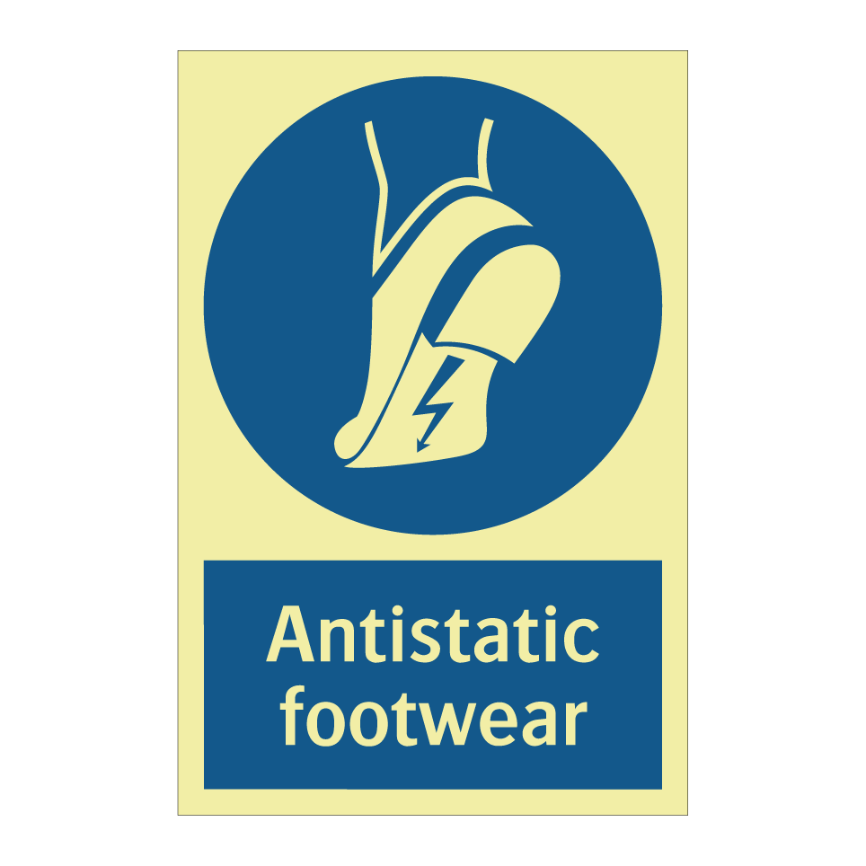 Antistatic footwear
