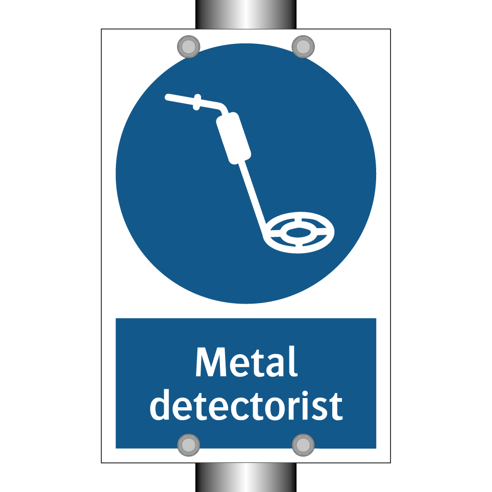 Metal detectorist