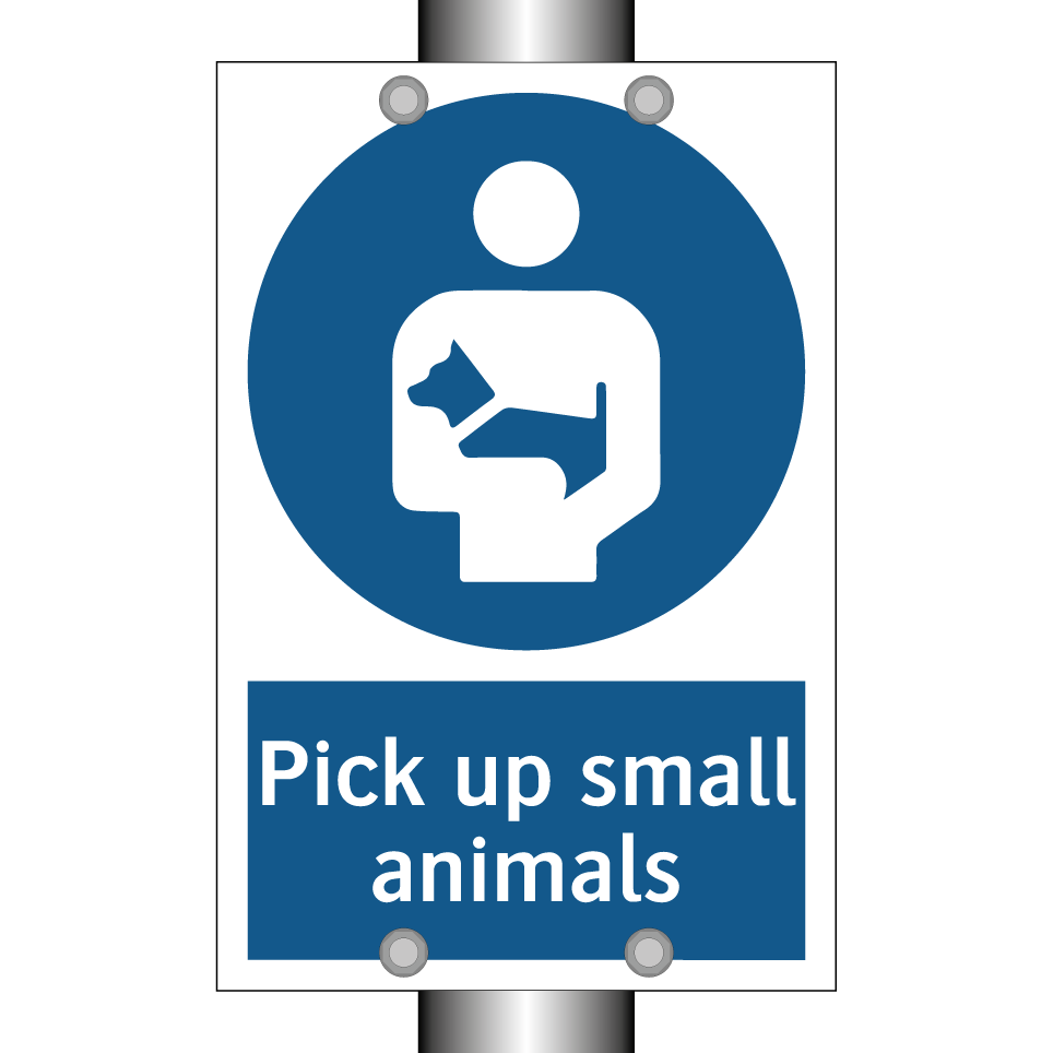 Pick up small animals